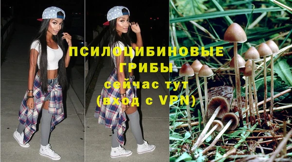 гидра Мегион
