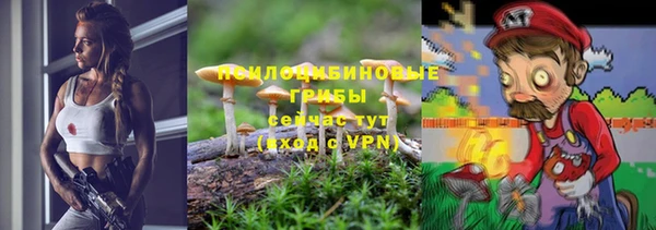 не бодяженный Михайловск