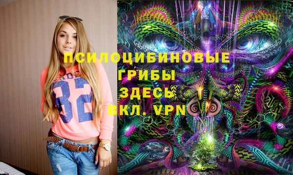 МДПВ Медногорск
