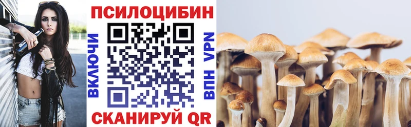 Псилоцибиновые грибы прущие грибы  Купить  Меленки 